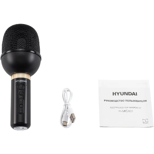 Микрофон беспроводной Hyundai H-MIC101 черный