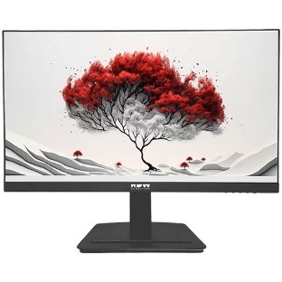 Монитор RDW Computers 23.8