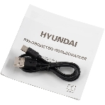 Микрофон беспроводной Hyundai H-MIC100 черный
