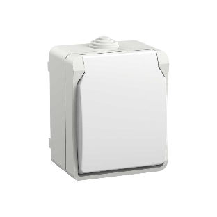 Розетка IEK ERS12-K01-16-54-DC ОП Форс РСб20-3-ФБ 16А IP54 с заземл. защ. шторки белый