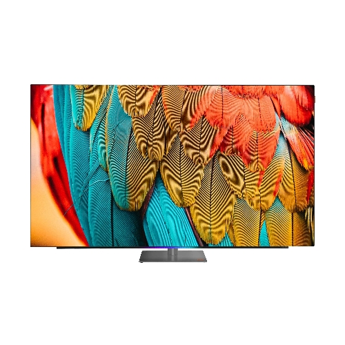 Телевизор Skyworth 55