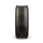 Колонка Eltronic 10
