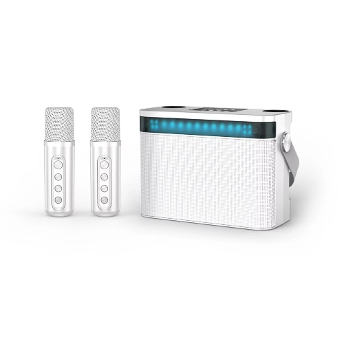 Переносная караоке система TRS2403 iconBIT K902W Колонка 10Вт, 2 микрофона Bluetooth, световые эффекты, аккумулятор в колонке 3000mAh и микрофонах, 22.3*9.6*15.7CM, белый