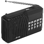 Радиоприемник Ritmix RPR-001 черный