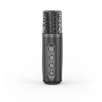 Переносная караоке система TRS2406 iconBIT K702B Колонка 10Вт, 2 микрофона Bluetooth, подсвктка, с аккумулятор в колонке 1500mAh и микрофонах, 16*12*16.7 CM, черный