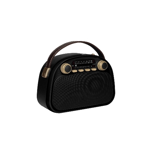 Радиоприемник Ritmix RPR-040 черный