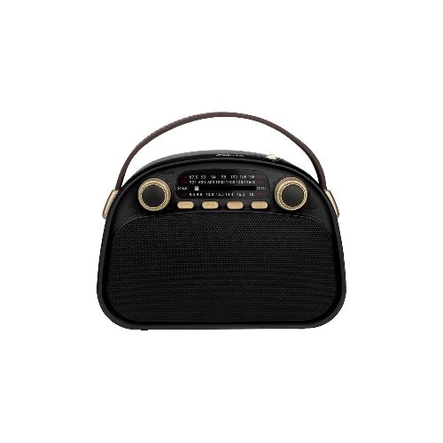 Радиоприемник Ritmix RPR-040 черный