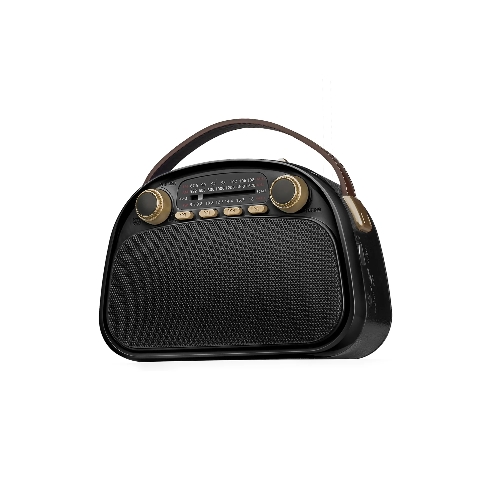 Радиоприемник Ritmix RPR-040 черный