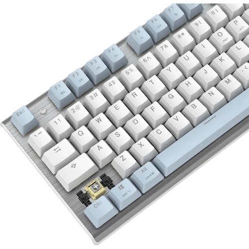 Клавиатура проводная A4Tech Fstyler FS100 Neon, USB, синий/белый