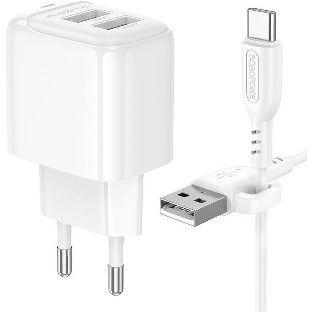 Сетевое зарядное устройство BOROFONE (6941991113772) BAS41Aa 2USB 2.0A для Type-C