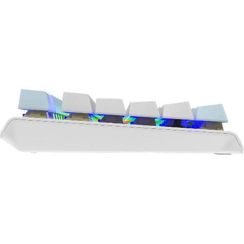 Клавиатура проводная A4Tech Fstyler FS100 Neon, USB, синий/белый