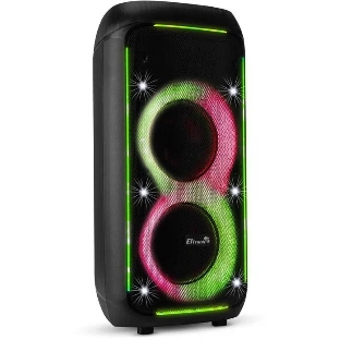 Колонка Eltronic 08