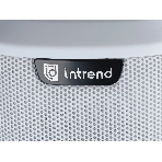 Звуковая колонна Intrend ITSPK-43DA-W активная 4x3