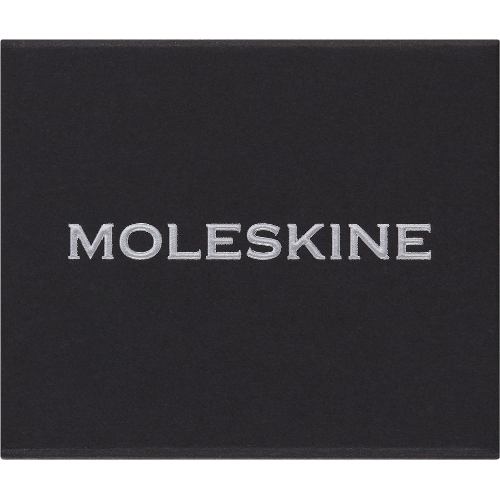 Шильд-символ Moleskine Zodiac Близнецы, металл, серебристый, коробка с европодвесом, PINGEMINISILV