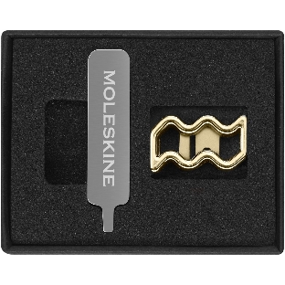 Шильд-символ Moleskine Zodiac Signs Водолей, металл, золотистый, коробка с европодвесом, PINAQUARIUSGOLD