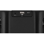 Портативная колонка Defender Versuz 15Вт,