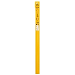 Бур по бетону Denzel двойная спираль, Cobalt W-tip, 22x600 мм, SDS PLUS