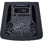 Колонка Eltronic 12