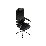 Кресло компьютерное ErgoLife Set 17/подл.131/осн.Sit 052, черный 5AD.16.1.2A3 z5AD.16.1.2A3