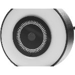 Веб-камера Ritmix RVC-250 2592x1944, 30 кадр/с, USB Type-A, микрофон, автоматическая фокусировка, универсальное крепление
