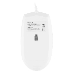 Мышь проводная Oklick 147M белый, 2000 dpi, USB, кнопки - 4