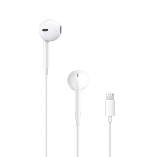 Проводные наушники Apple EarPods A1748 белый, вкладыши, Lightning, микрофон, регулировка громкости