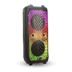 Колонка ELTRONIC 10