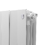 Радиатор биметаллический Royal Thermo PianoForte 200 белый - 12 секц.