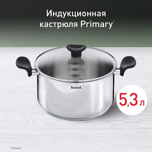 Кастрюля Tefal Primary E3084674 5.2 л. d=24 см (с крышкой) стальной (2100120958)