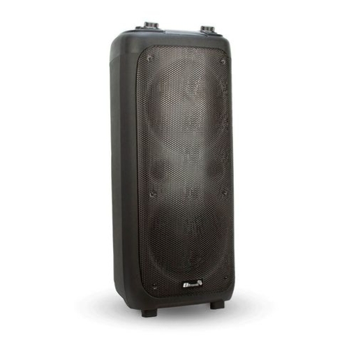 Колонка ELTRONIC 10