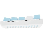 Клавиатура Defender Amox GK-585 проводная, USB Type-A, белый