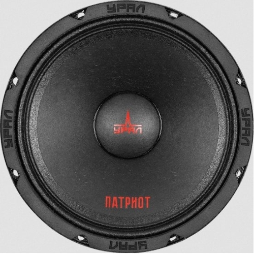 Колонки автомобильные Ural ПАТРИОТ АС-ПТ165.2, (без решетки), 300Вт, 98.5дБ, 4Ом, 16.5 см, (6 1/2 дюйм), 2 шт, широкополосные, однополосные