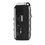 Радиоприемник цифровой Perfeo PALM FM+ 87.5-108МГц/MP3/питание USB или 18650/черный (i90-BL)