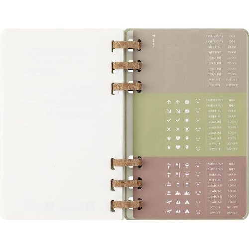 Еженедельник Moleskine ACADEMIC SPIRAL DHSPK5212AMWH3 Large 150х210 мм 200 стр. кремовые страницы спираль киви